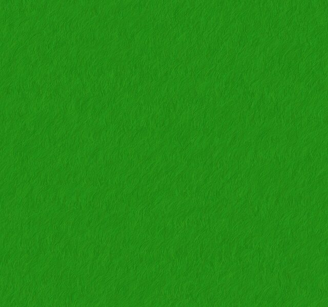 Klima og bæredygtighed: Papuga holidays’ grønne tiltag