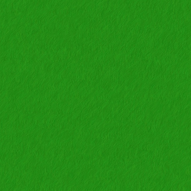 Klima og bæredygtighed: Papuga holidays’ grønne tiltag