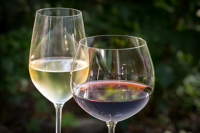 Fra Bordeaux til Burgund: Sådan vælger du det rigtige glas til din foretrukne rødvinsstil